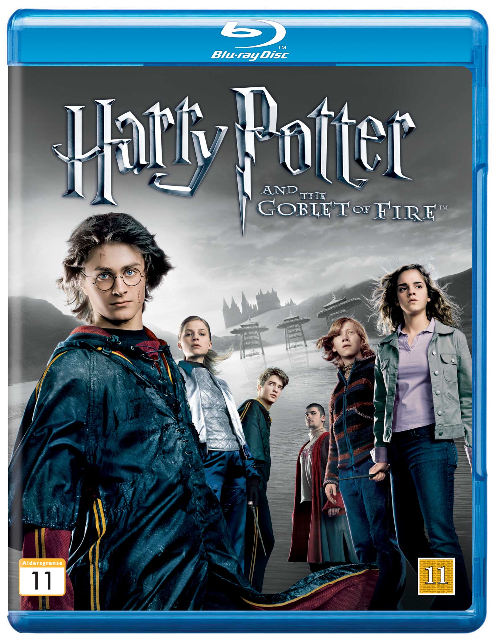 Книга Гарри Поттер Кубок Купить
