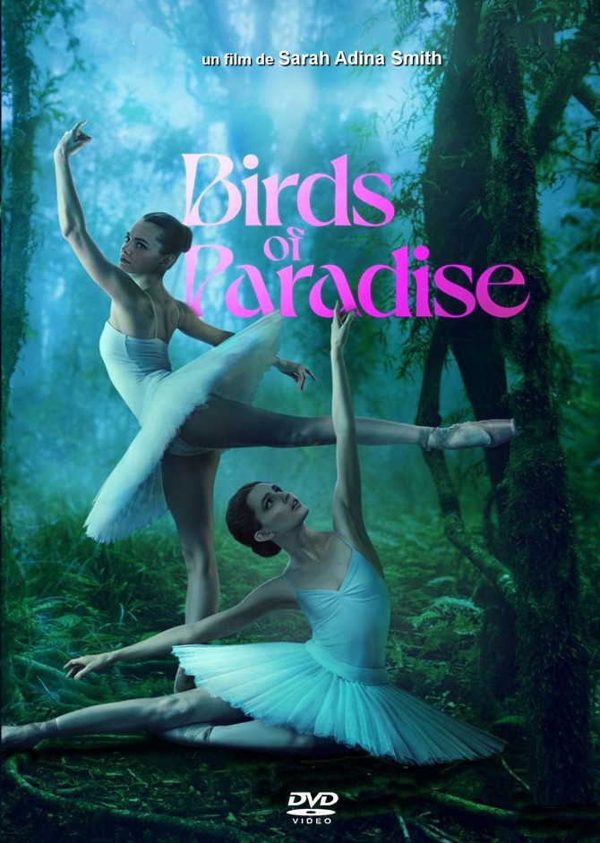 birds of paradise1